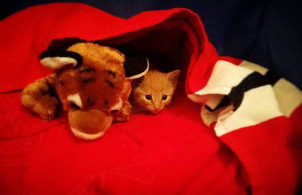 img_20170222_124255_820